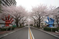 芸術は爆発だってば！