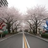 芸術は爆発だってば！