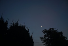 ウルフムーンじゃなくても