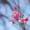 オールドレンズ遊び No.23-2
