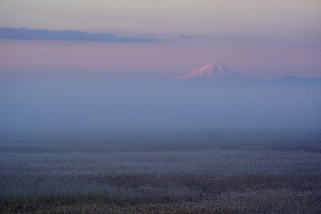 霧の富士