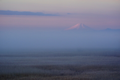 霧の富士