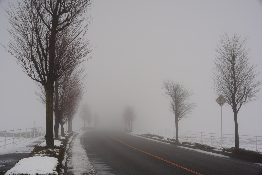 霧の通勤路