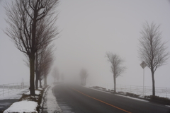 霧の通勤路