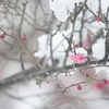 オールドレンズ遊び No.20-1
