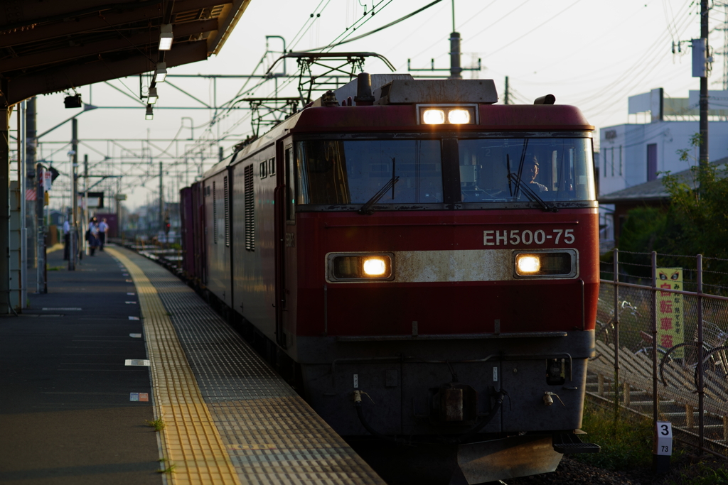 朝を行く