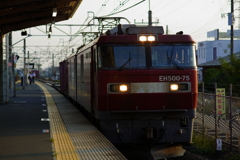 朝を行く