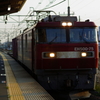 朝を行く