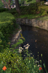 _DSC0622