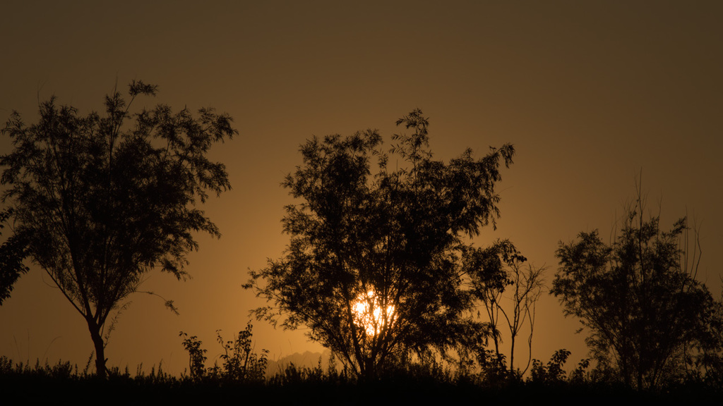 _DSC0008
