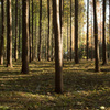 _DSC0675