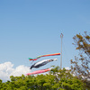 _DSC0901