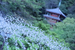 噴水と三重塔