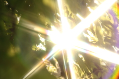 I want to shine on you