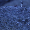 水の波動