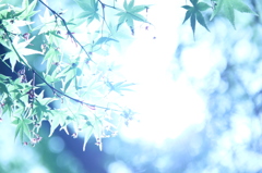 光に吸い込まれる。