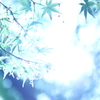 光に吸い込まれる。