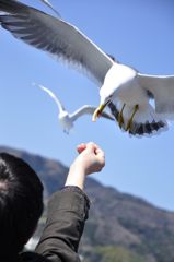 えびせんを食らう