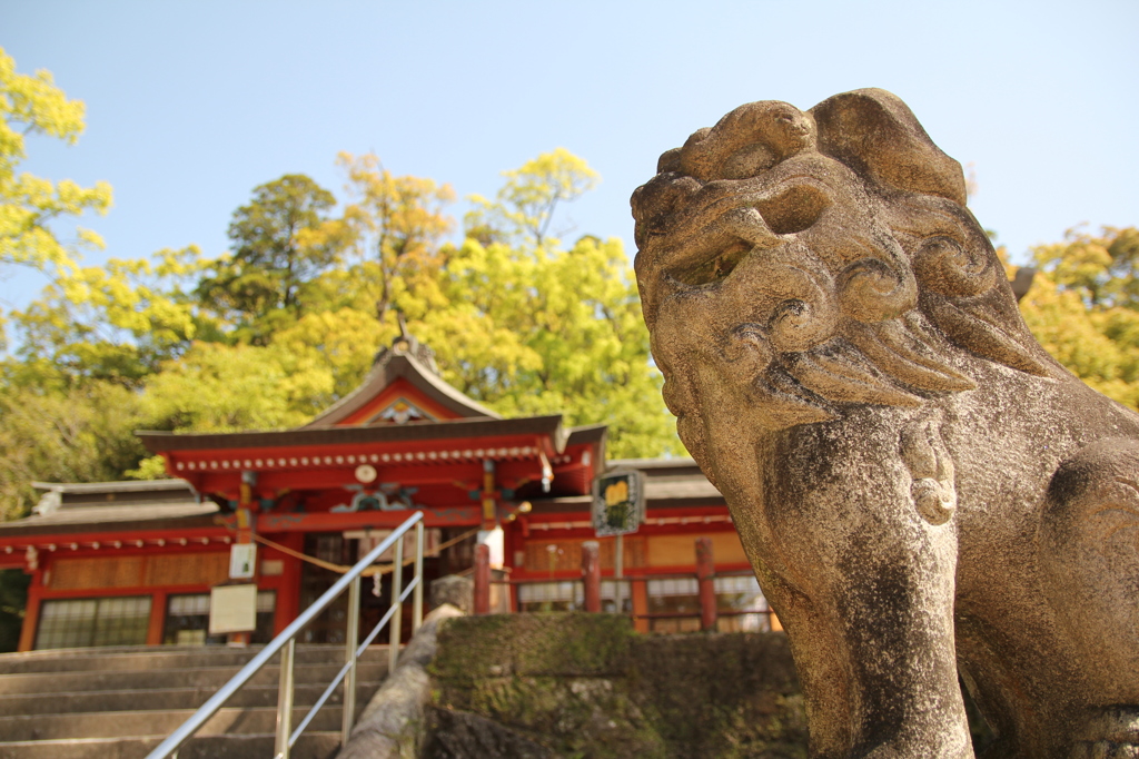 狛犬～
