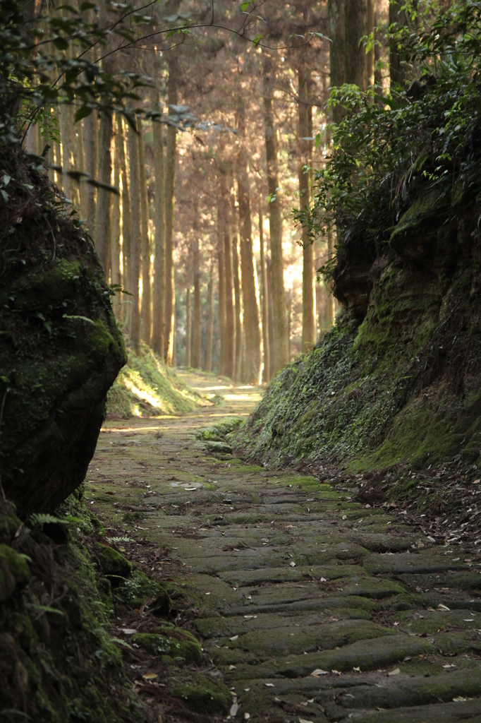 早朝の龍門司坂
