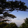 編笠山への登りから富士を望む
