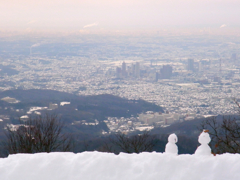 関東平野を望む