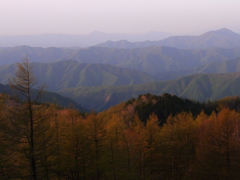 カラマツと奥多摩の尾根