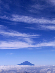 夏模様