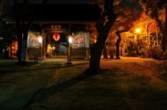 夜の愛宕神社