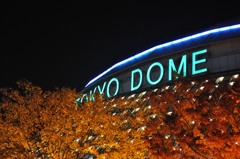 東京ドーム