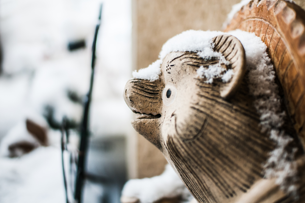 雪見たぬき