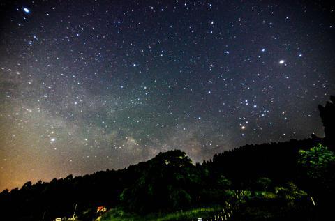 ５月の又兵衛桜
