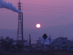 一日の始まり。