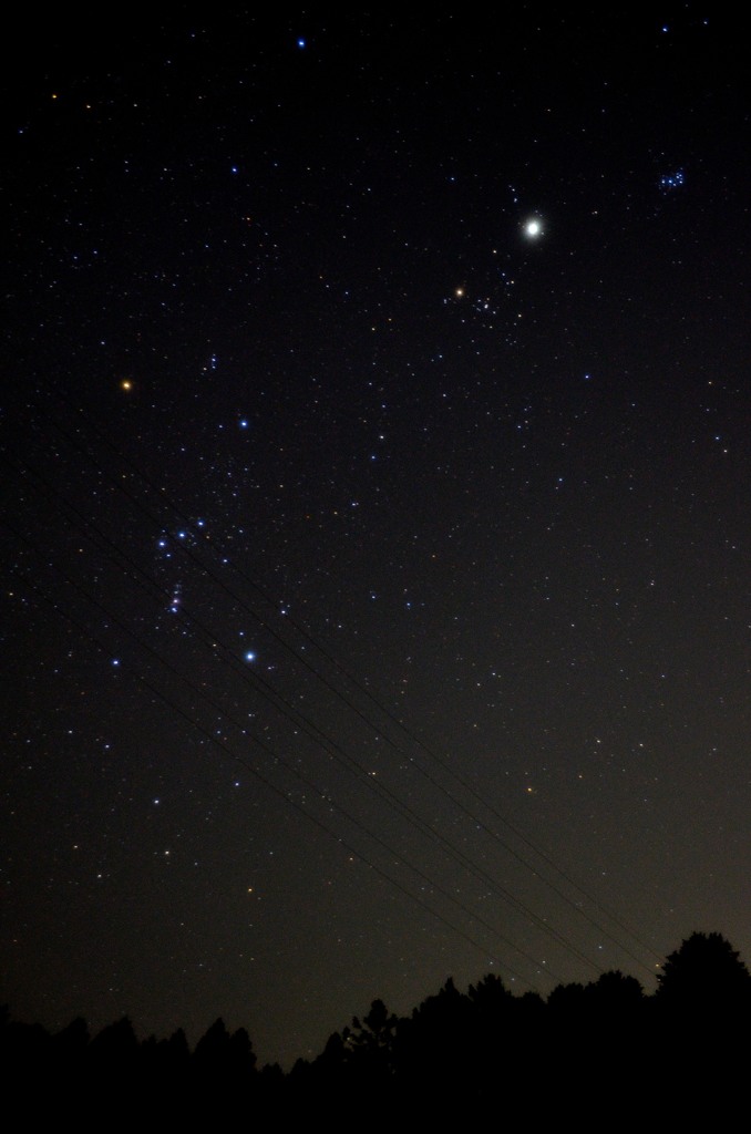 冬の星座たち