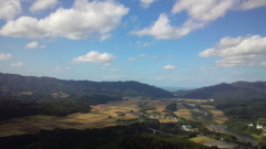 雄