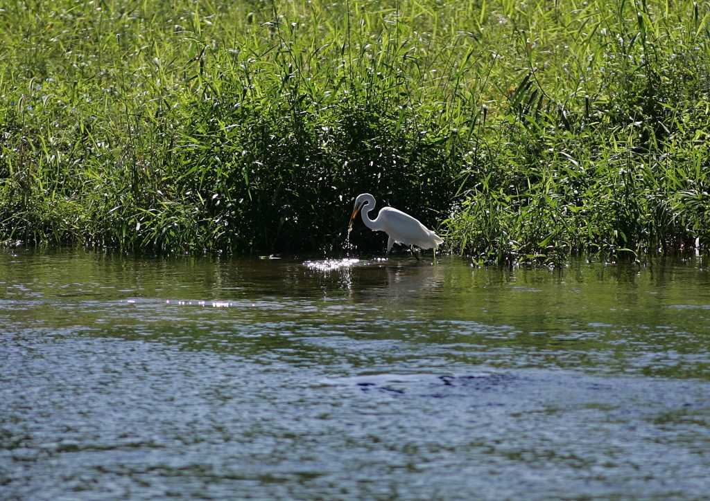 狩猟中・・・⑥（獲った！）