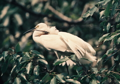 甘えん坊・・・