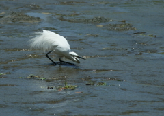 息を殺して・・・。
