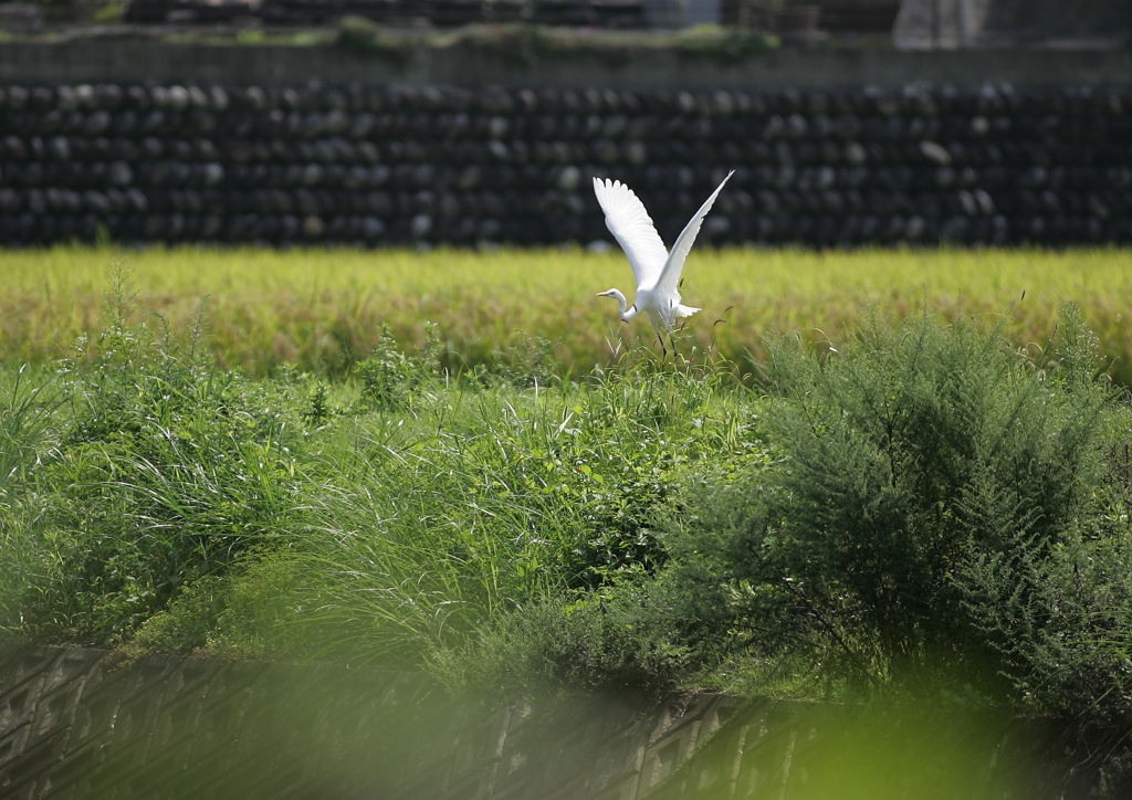 いざ出発・・・