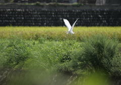 いざ出発・・・