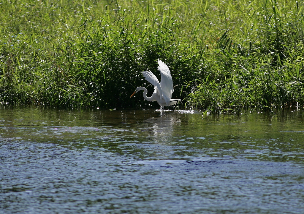 狩猟中・・・③