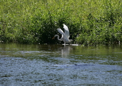 狩猟中・・・③