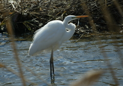 隙間から・・・