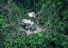 1.子育て真っ最中・・・