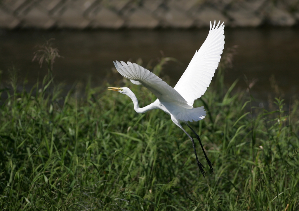 5.飛び立ちシーン④