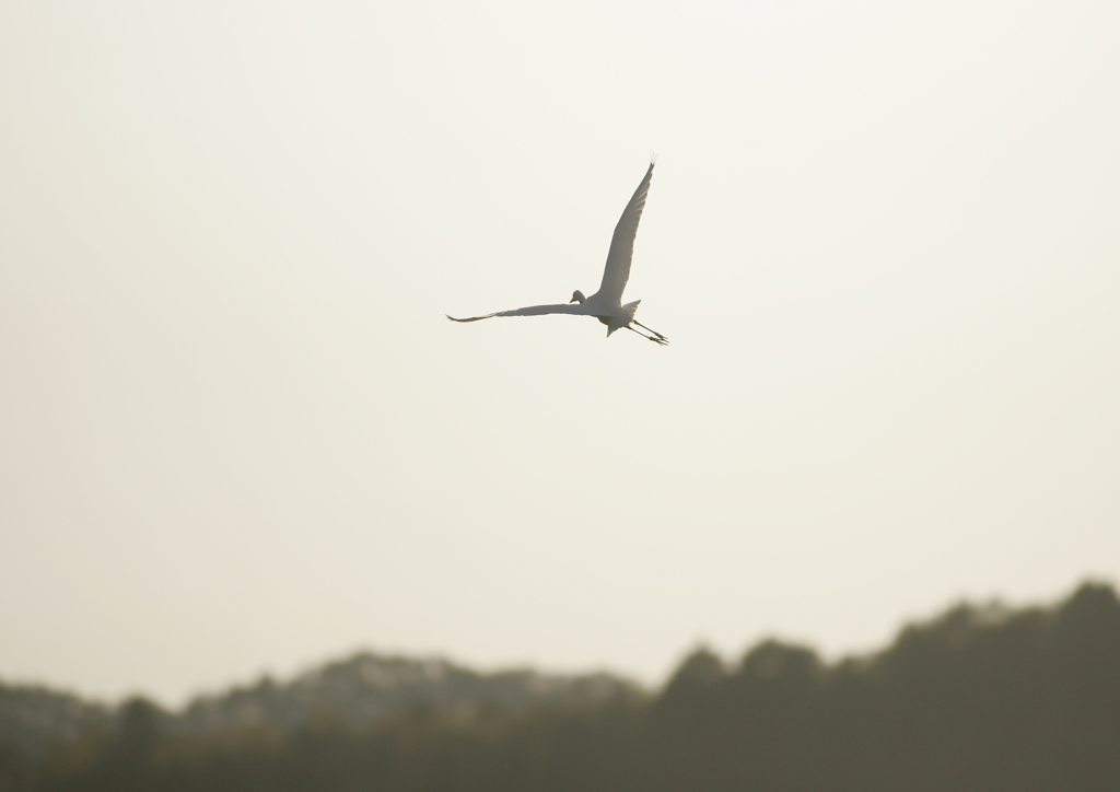 1.夕暮れ時・・・