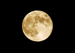 十六夜・・・
