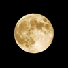 十六夜・・・