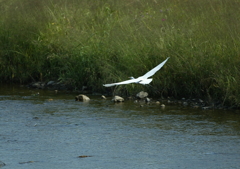2.何処へ・・・②