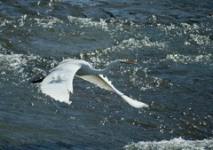 輝きの中で・・・③